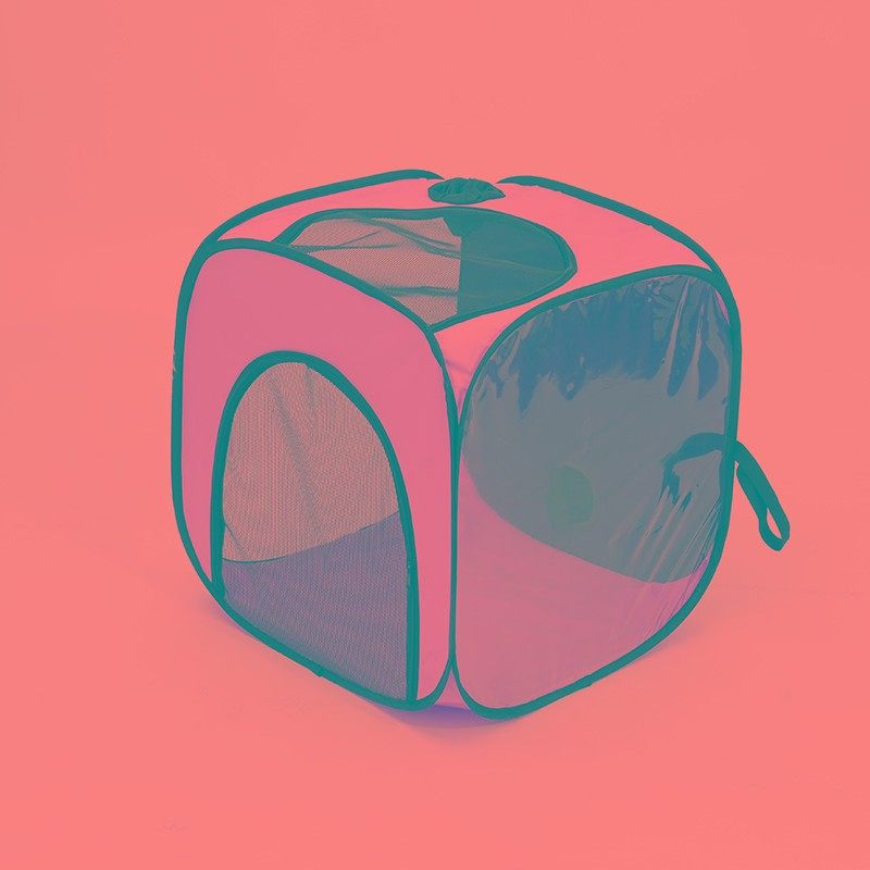 宠物烘干箱吹毛烘干机猫咪吹风狗狗洗澡神器全自动家用吹干,纺织面料/辅料/配套,其他纺织机械,淘宝优惠券,粉丝福利购,淘宝优惠卷