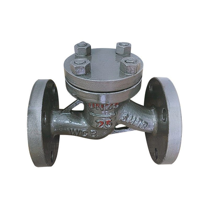 H41H-16C/25C (中型)铸钢升降式法兰止回阀 DN40 50 80