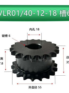 40系列链轮双排链轮 VLR01-12齿-VLR01-21齿定作齿轮链条SP40SD
