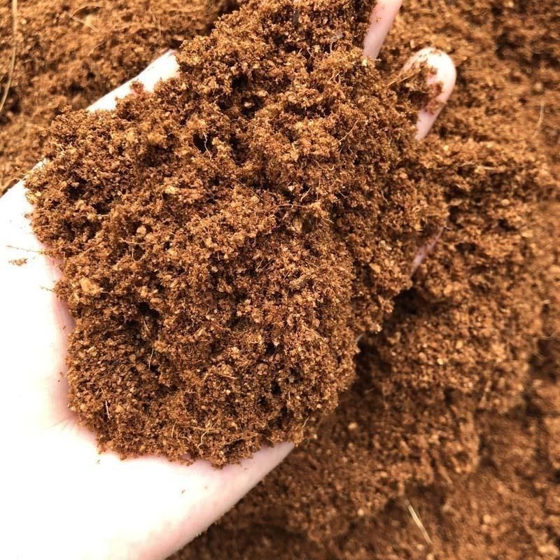 甲虫独角仙专用饲养箱套装垫材椰土木屑甲虫果冻,纺织面料/辅料/配套,其他纺织机械,淘宝优惠券,粉丝福利购,淘宝优惠卷