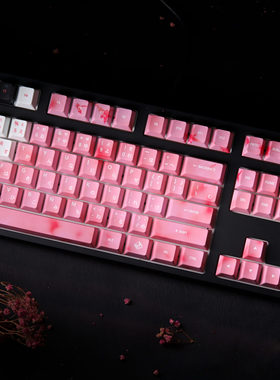 【座敷童子】Traitors背骨玩家 PBT热升华 游戏高度客制化键帽