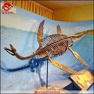 仿真蛇颈龙鱼龙骨架化石大型古生物骨骼化石复原标本模型定制