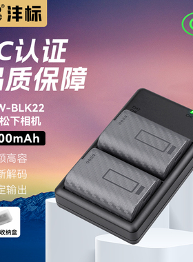 沣标DMW-BLK22相机电池适用松下DC-S5M2 S5 S9 GH6 GH5M2全画幅数码微单LUMIX S5配件Panasonic充电器套装