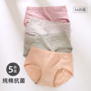 内裤女士纯棉中腰透气全棉裆高腰收腹包臀5A抗菌女生三角短裤大码