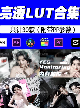清新通透暖白明亮LUT婚礼跟拍预设电影感滤镜高级PR剪映达芬奇ps