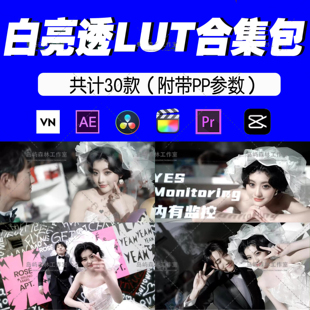 清新通透暖白明亮LUT婚礼跟拍预设电影感滤镜高级PR剪映达芬奇ps