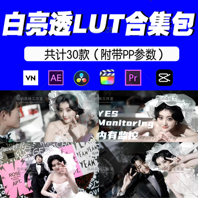 清新通透暖白明亮LUT婚礼跟拍预设电影感滤镜高级PR剪映达芬奇ps