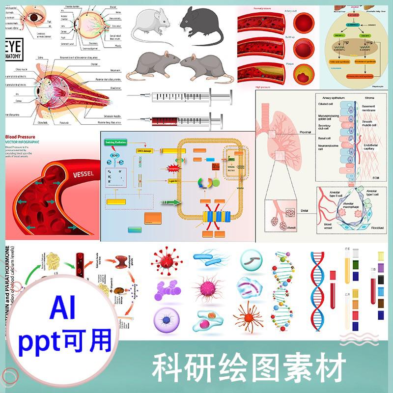 ppt医学插画器官细胞流程图片ai模板科研绘图素材png生物作图资料