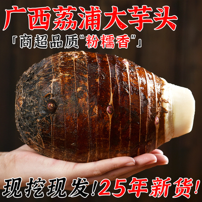 广西荔浦新鲜大芋头现挖粉香芋旗舰店正宗芋艿槟榔芋紫藤毛芋包邮