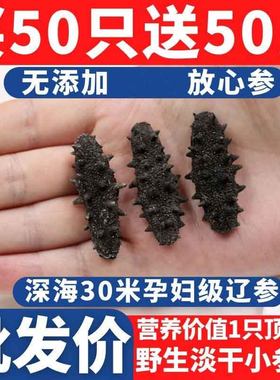 【免费试泡一只】高品质速发海参