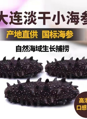 【免费试泡一只】野生速发海参