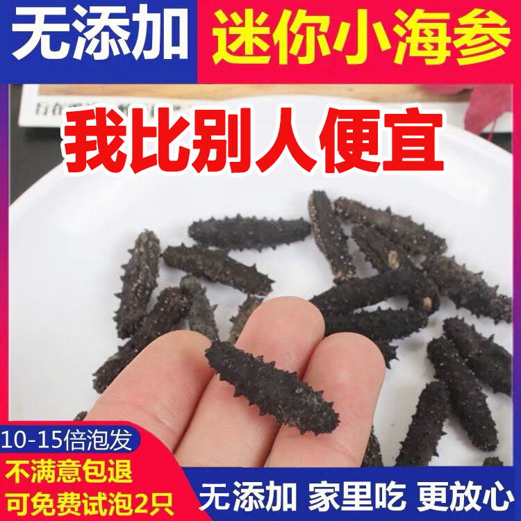 【免费试泡一只】野生淡干海参