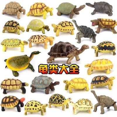 仿真实心陆龟模型玩具象龟苏卡达乌龟大全星龟鳄龟摆件儿童礼物