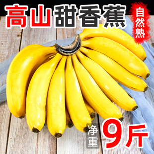 广西高山香蕉新鲜9斤当季 水果整箱芭蕉批发10自然熟现摘粉甜香蕉