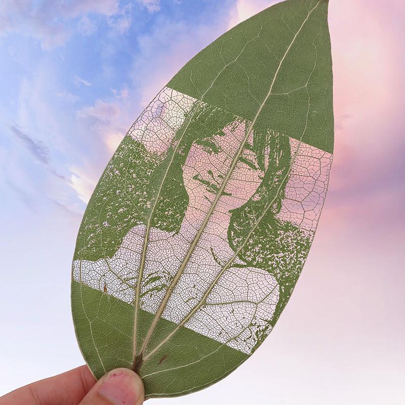 周年纪念礼物情侣款树叶雕刻照片定制相框刻字稀奇古怪特殊小礼物