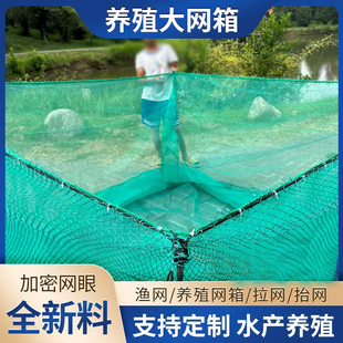 定做网箱养殖网 有结大网箱 网箱养鱼箱 养鱼网箱 网箱鱼网存鱼