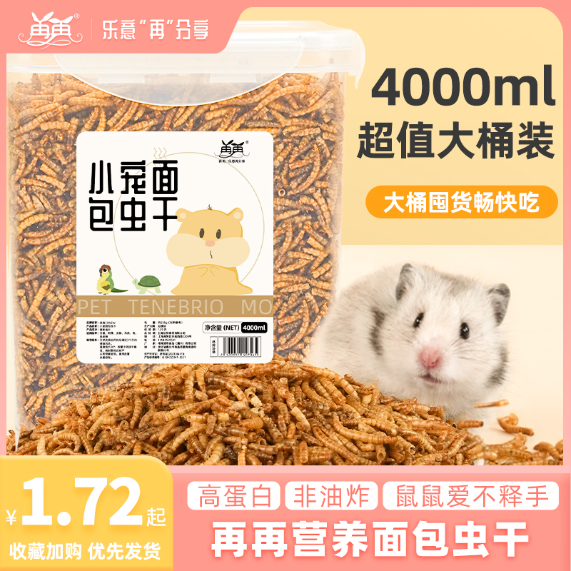 新鲜美味鼠鼠爱吃大桶装面包虫干