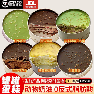 铁罐子蛋糕动物奶油抹茶开心果蓝莓巧克力千层慕斯盒子下午茶甜品