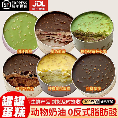 铁罐子蛋糕动物奶油下午茶甜品