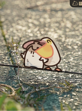 沃遇小鸟pvc贴纸透明底现货沃玛养鸡场warma周边文创文具