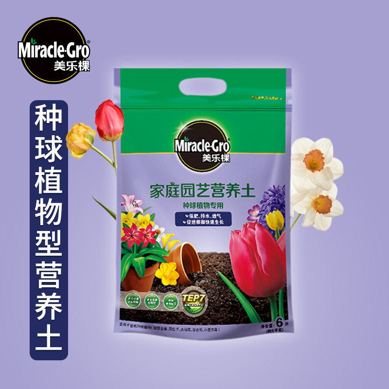 风信子球根价格 风信子球根图片 星期三