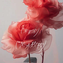 有机苦水玫瑰花水500mL