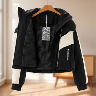 撞色连帽立领休闲冲锋短款 专柜2588 冬装 弟 羽绒服650 鹅绒服