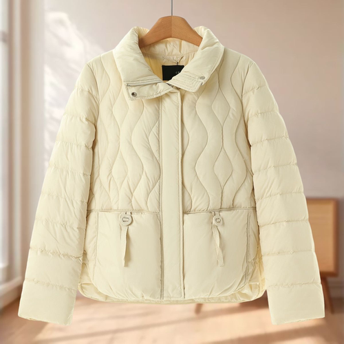 专柜1099【妍B】冬装 基础不失年轻款立领短羽绒服672