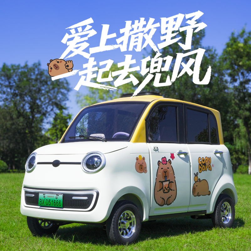 2025新款电动四轮车家用小型女士锂电瓶车新能源油电代步车