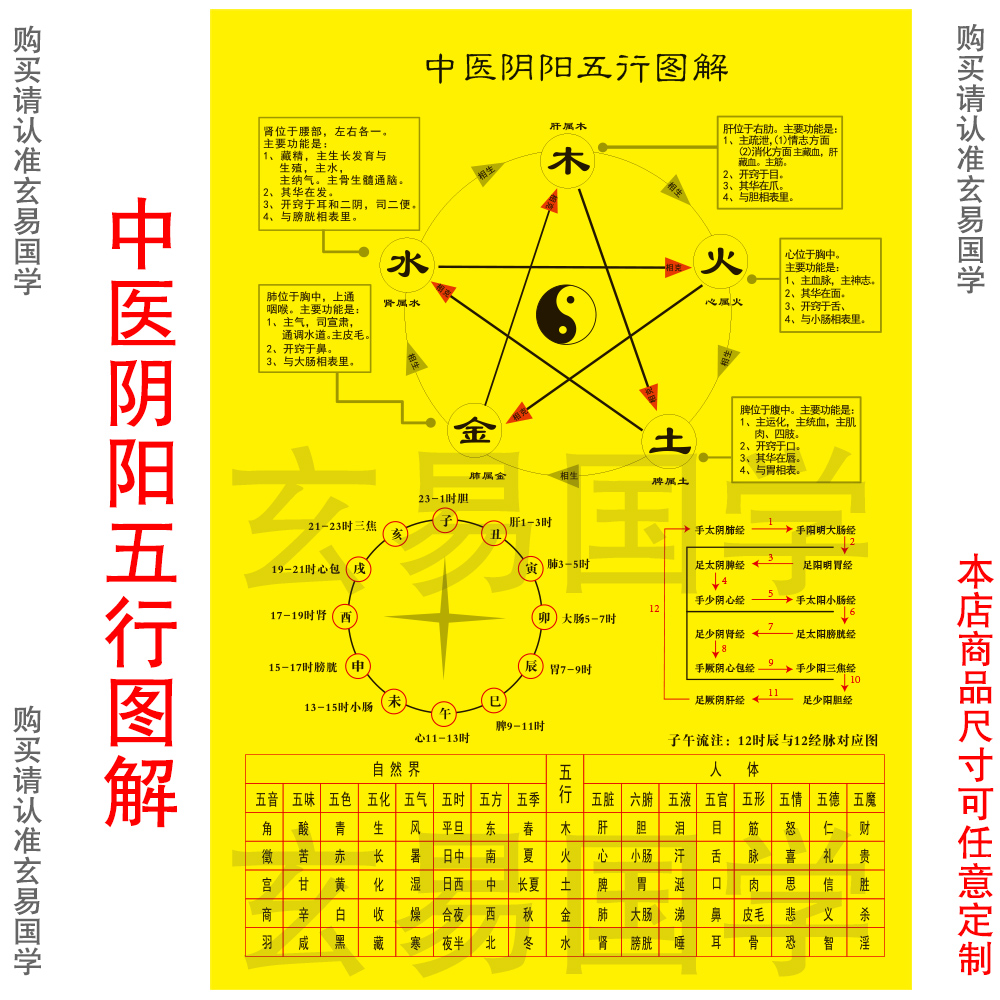 中医阴阳五行生克图五脏六腑药性图中医常用知识图子午流注图 家居饰品 版画 原图主图