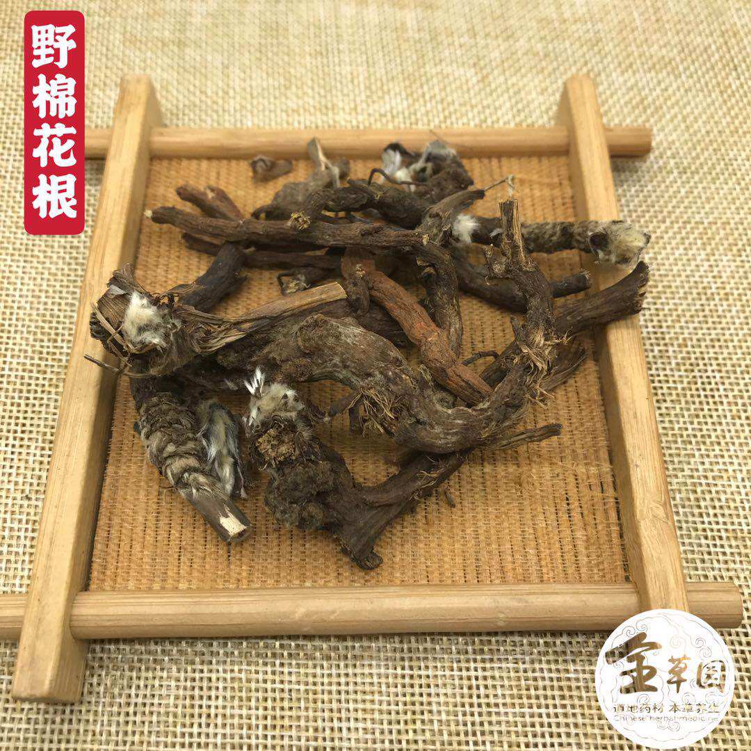 云南野生中药材棉花根 野棉花根 水洗干货500克包邮