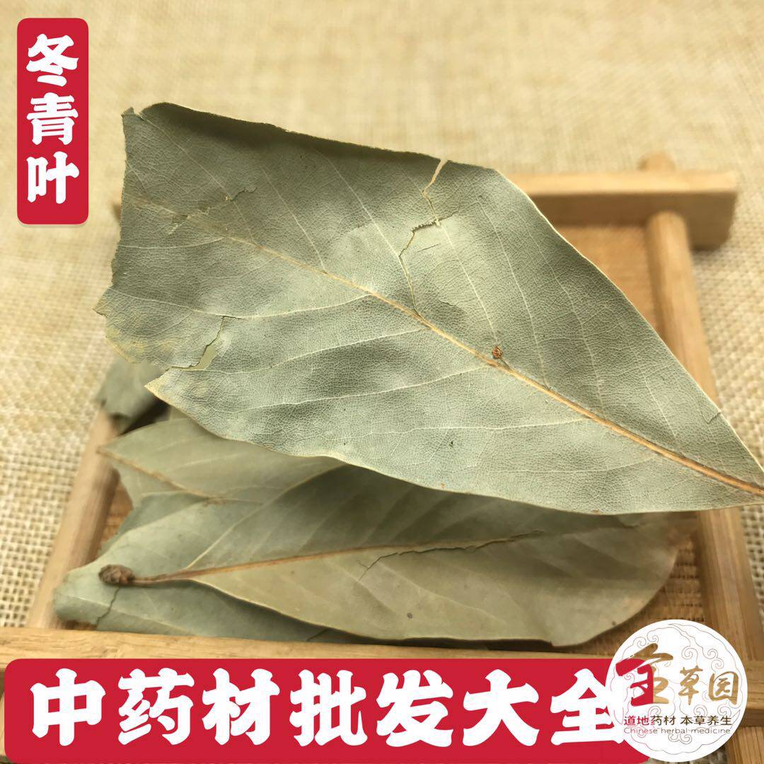 中药材云南深山野生冬青叶 小粘叶 四季青叶 干货500克包邮