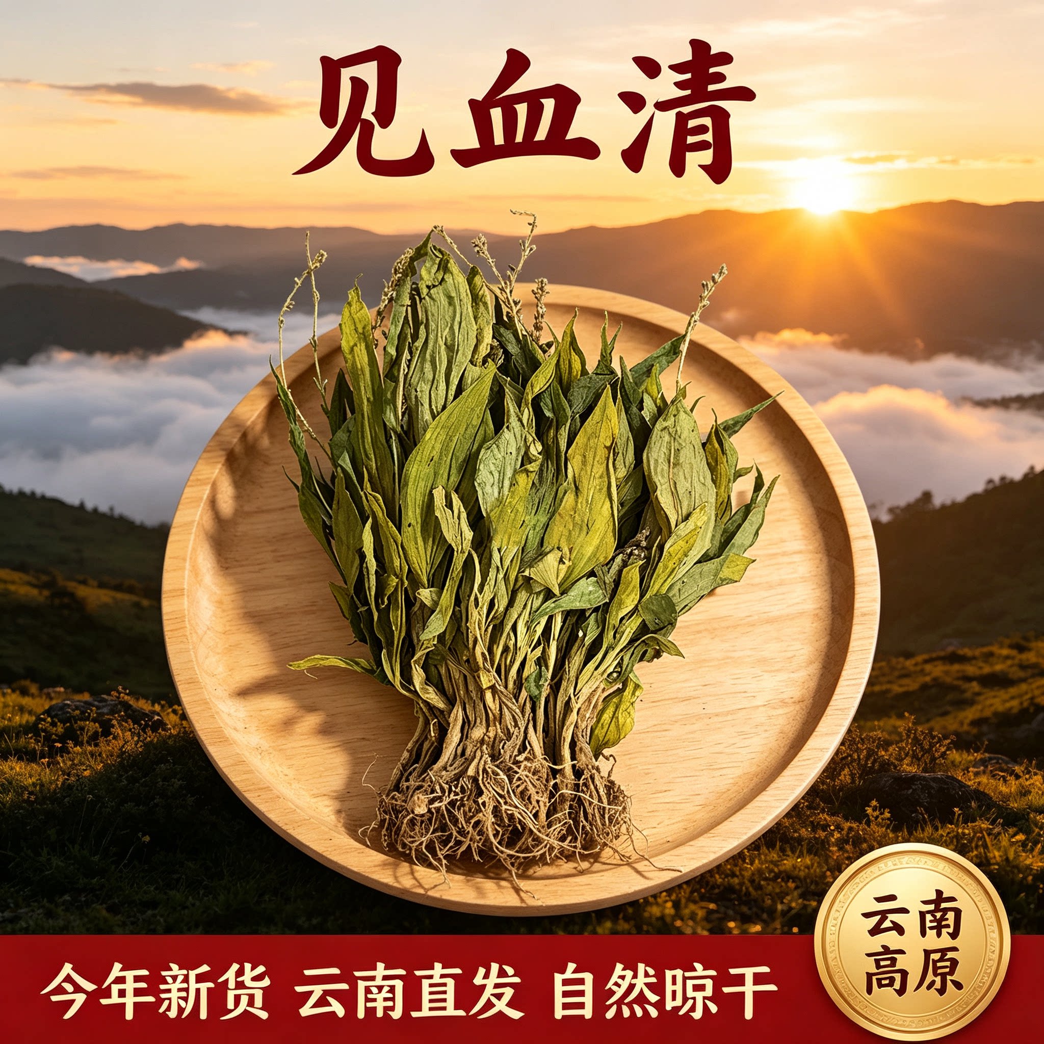 云南见血清 羊耳蒜 见血青 立地好 新鲜干货250克包邮中药材