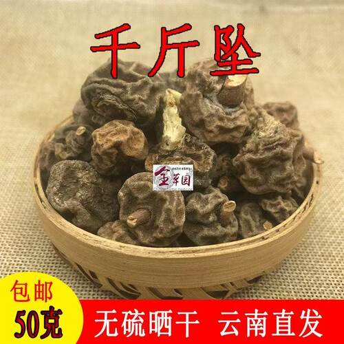 云南野生中草药千斤坠
