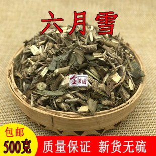 云南中药材六月雪 满天星 白马骨 新鲜晒干无硫晒干500克包邮