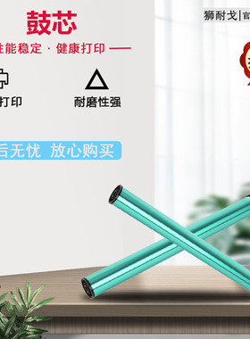 狮耐戈适用映普生DR-1233感光鼓YPS-3133DNW 3133DN DW爱胜品1133DNW DN 4133DNW TN1633 TN3033H TN0033鼓芯
