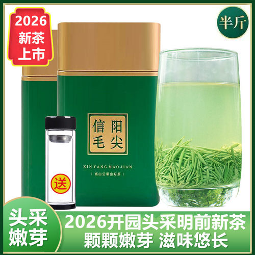 信阳毛尖2026新茶叶明前头采250g