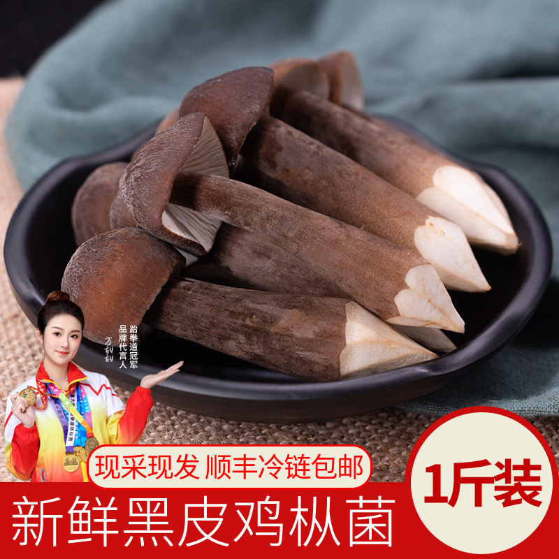 新鲜黑皮鸡枞菌500g云南特产鸡枞菌菌菇汤蘑菇鸡纵菌类非干货食材