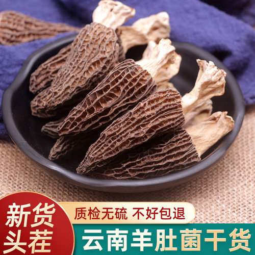 野生羊肚菌干货500g云南特产菌菇