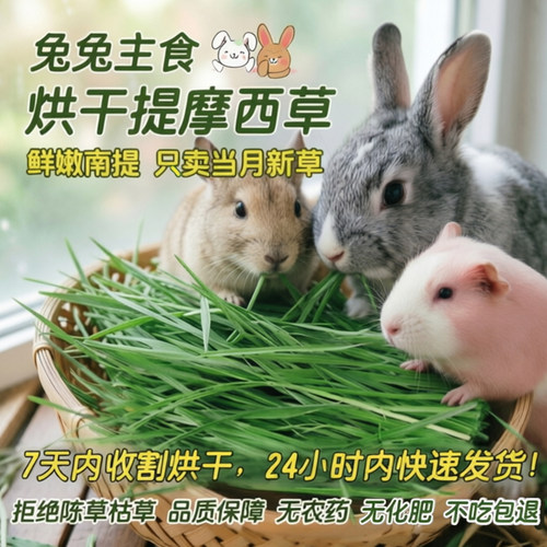 26年新草烘干南提摩西草成年兔粮