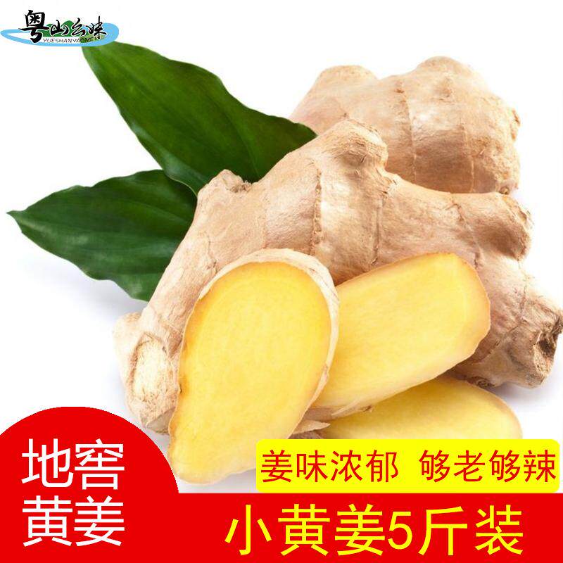 正宗小黄姜生姜去腥神器去腥神器