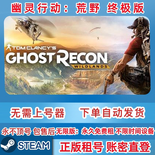 Steam正版租号 幽灵行动：荒野 zhong极版租号 在线联机 账密直登
