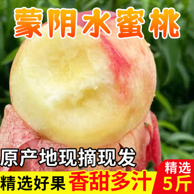 软甜多汁山东水蜜桃大桃子