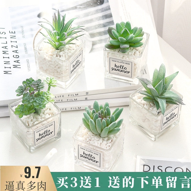 北欧仿真仙人掌多肉假花绿植物装饰摆件客厅创意摆设办公室小盆栽