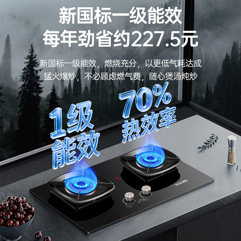 新款樱雪燃气灶具261Q8D定时保洁煤气灶5.2火力双灶家用天然气炉