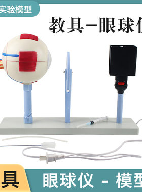 眼球仪人体眼球仪模型教学仪器