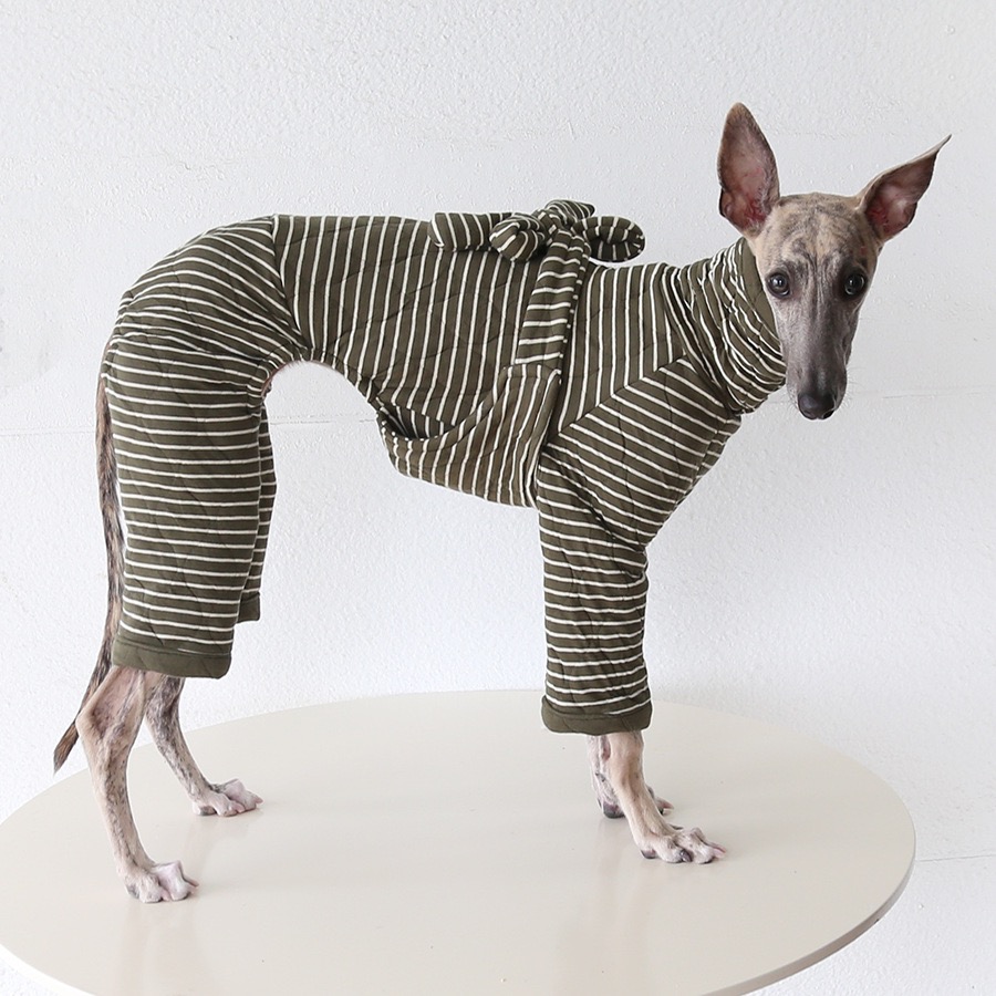 Petstyle护肚护胸衣两穿意大利小灵缇惠比特宠物四脚保暖秋冬衣服