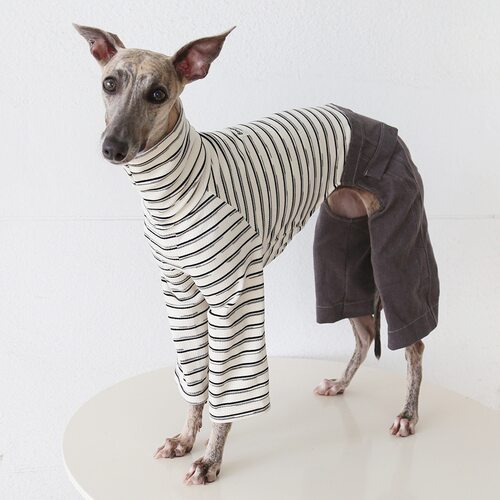 Petstyle海派少年牛仔裤意大利小灵缇惠比特宠物衣服居家高领四脚