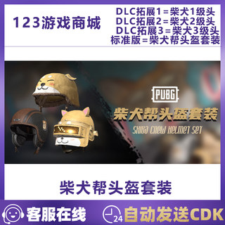 PUBG绝地求生柴犬帮头盔套装一级二级三级1级2级3级皮肤兑换码CDK