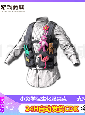 PUBG绝地求生皮肤小兔学院生化服夹克兔兔夹克上衣吃鸡CDK兑换码